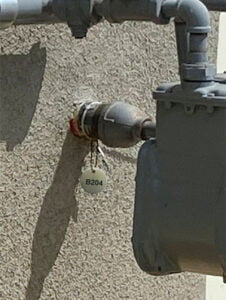 metal tag in field
